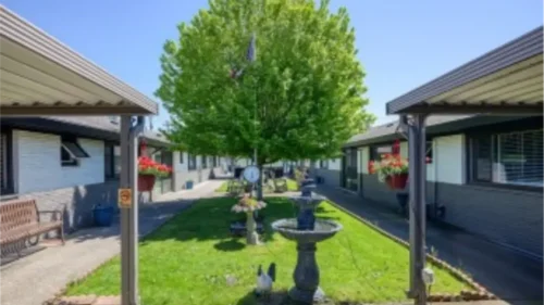 A courtyard area with a large green tree in the center, a decorative fountain, benches, and buildings on either side